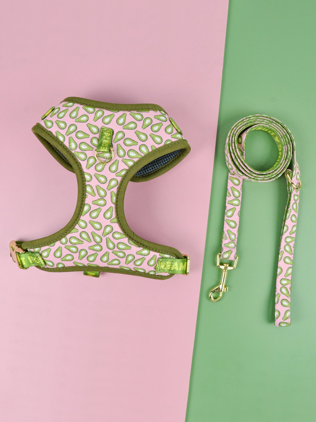 Summer Cute Pet's Chest-back Haulage Rope Package Suitable For Medium And Large Pet Dogs