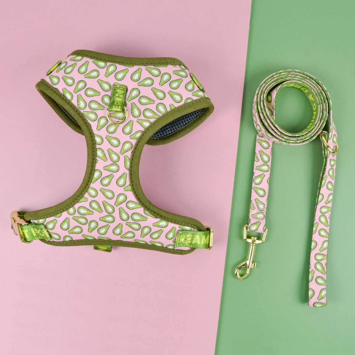 Summer Cute Pet's Chest-back Haulage Rope Package Suitable For Medium And Large Pet Dogs