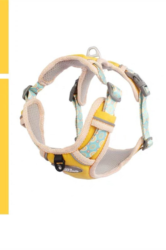 The Dog's Chest Strap Goes Out And Walks Leash