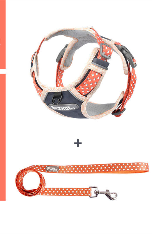 The Dog's Chest Strap Goes Out And Walks Leash