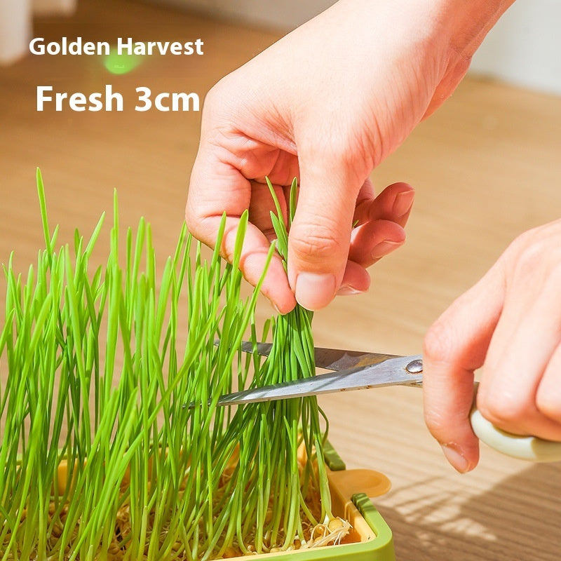 Soilless Hydroponic Wheat Cat Toy Seed Suit